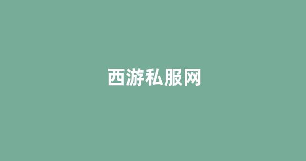 西游私服网