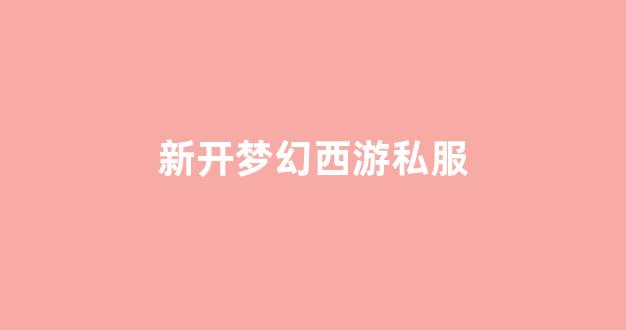 西游私服网